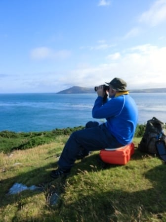 Looking for dolphins from Bardsey Island