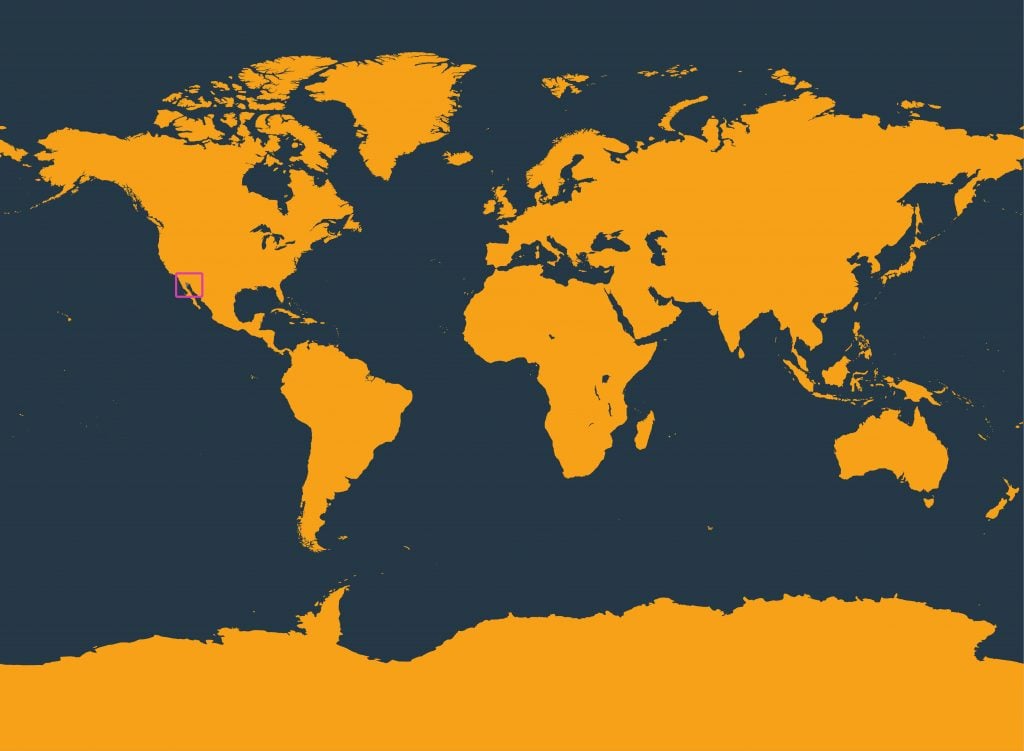 Distribution of the vaquita