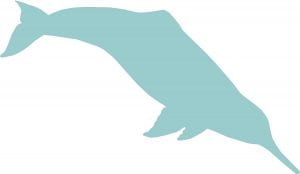 River dolphin silhouette