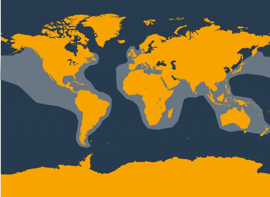 Risso's dolphin distribution map