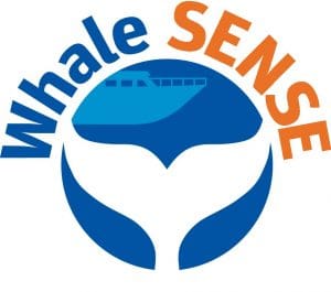whale sense