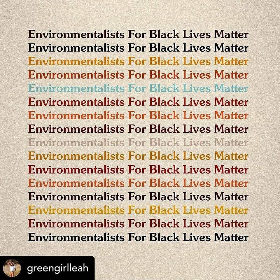 Environmentalists for BLM