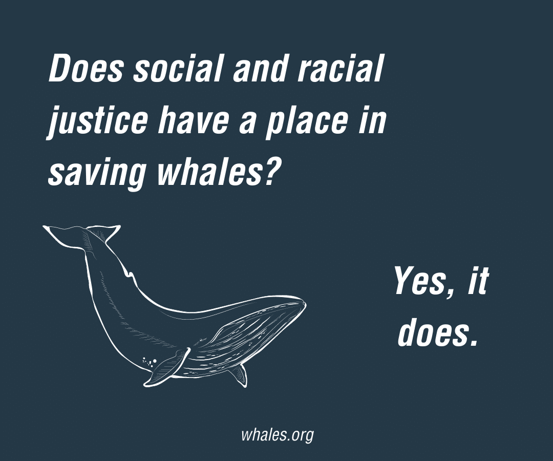 How Facebook's Meme App Whale Works