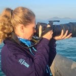 Photographing finless porpoises