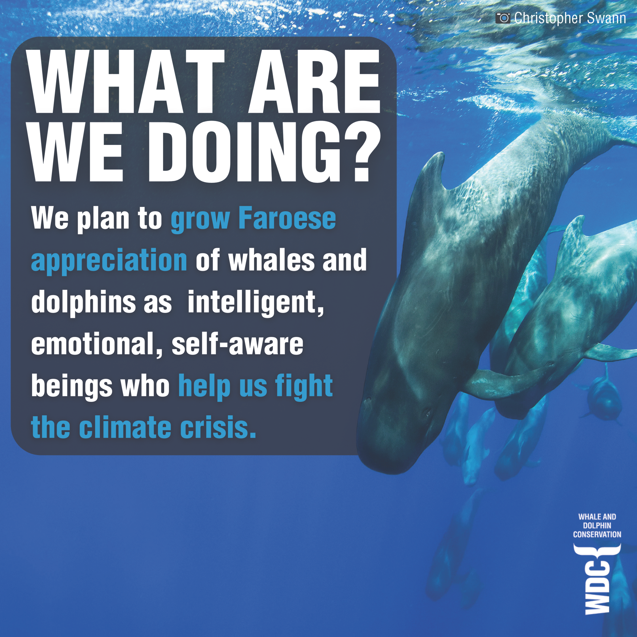 What are we doing? We plan to grow Faroese appreciation of whales and dolphins as intelligent, emotional, self-aware beings who help us fight the climate crisis.