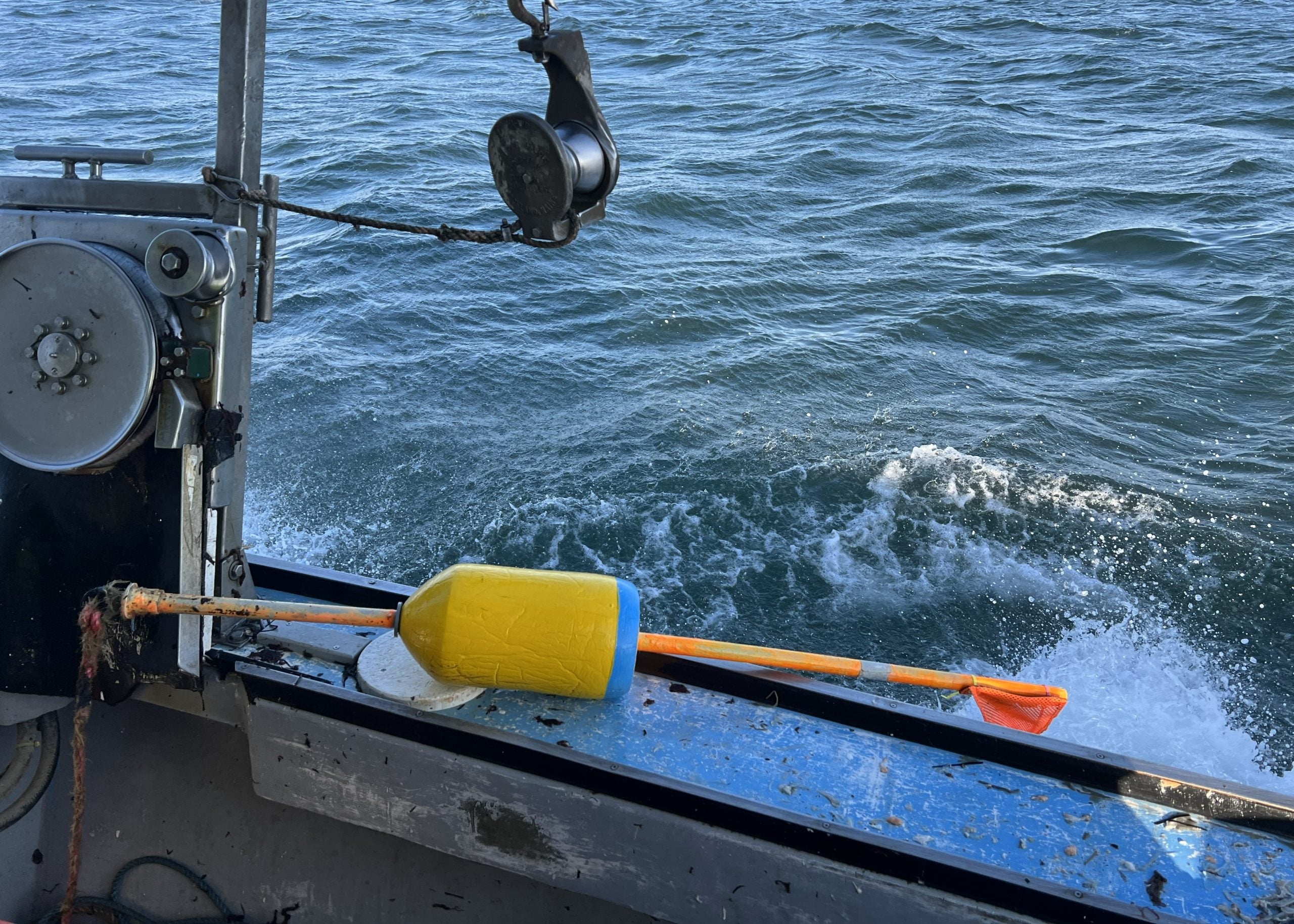 Surface buoy with vertical line attached. © WDC
