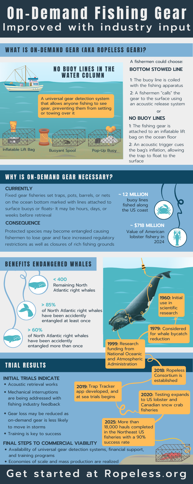 RAS Copy of On-Demand Infographic