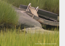 july 2026 content (1)